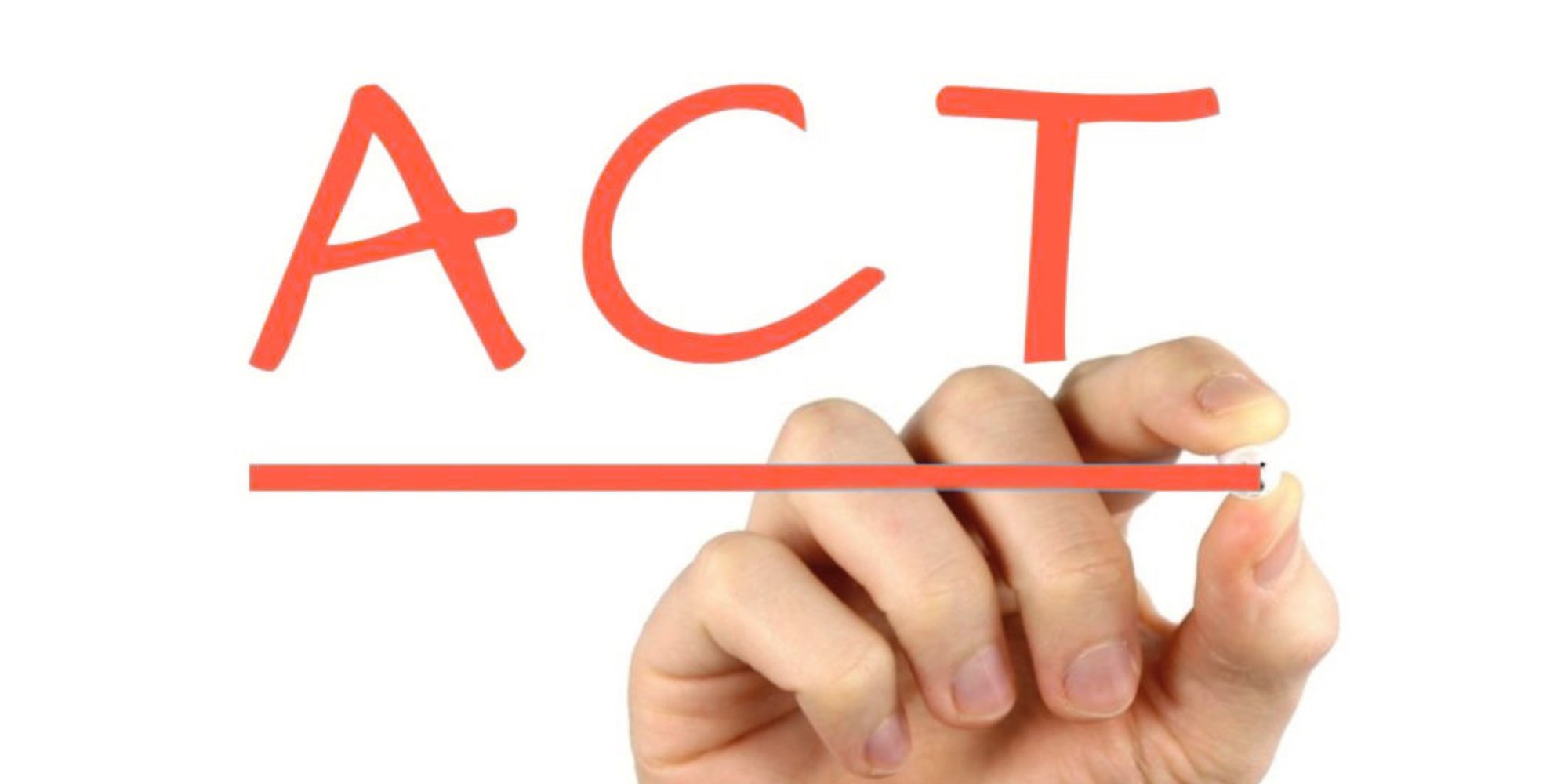 Untitled design (50)